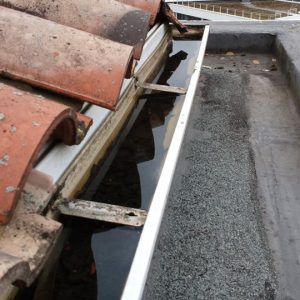 Nettoyage des chéneaux gouttières et descentes de toit